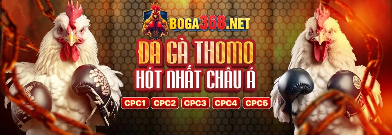 Bắt đầu kiếm tiền cùng i9bet